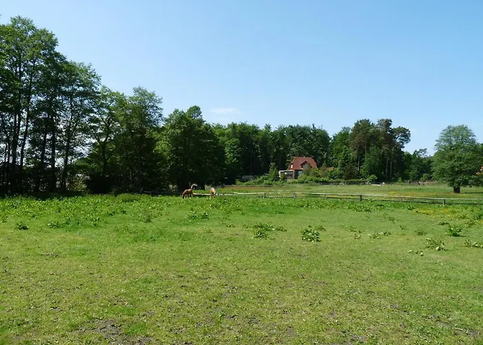 Ferienhaushaelfte Zum Plauer